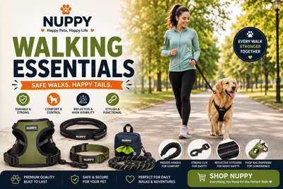 Walking Essentials