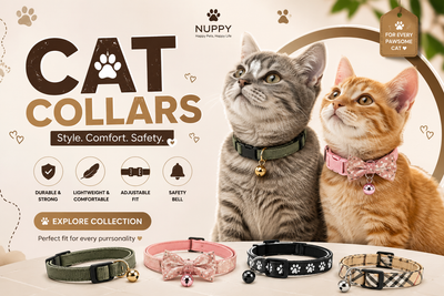 CAT COLLARS